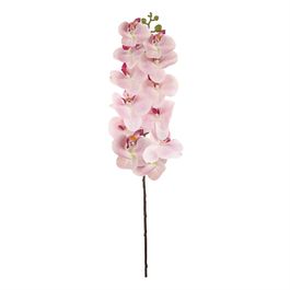 HASTE DE ORQUÍDEA X12 75 CM - ROSA CLARO
