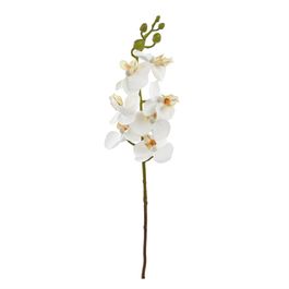HASTE DE ORQUÍDEA X7 63 CM - BRANCO