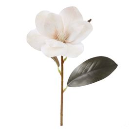 HASTE DE MAGNÓLIA X1 30 CM - OFF WHITE