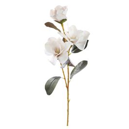 HASTE DE MAGNÓLIA X3 80 CM - OFF WHITE