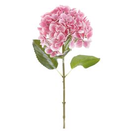 HASTE DE HORTÊNSIA X72 65 CM - ROSA