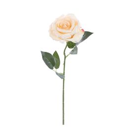 HASTE DE ROSA X1 51 CM - BEGE