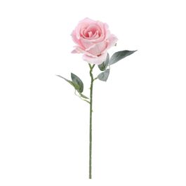 HASTE DE ROSA X1 51 CM - ROSA CLARO