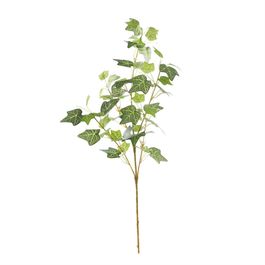 HASTE HERA X63 92 CM - VERDE