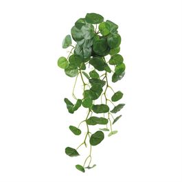 PENDENTE PILEA X52 80 CM - VERDE