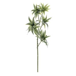 HASTE DRACENA X5 80 CM - VERDE 2 TONS
