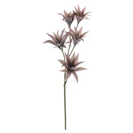 HASTE DRACENA X5 80 CM - VERDE / VERMELHO