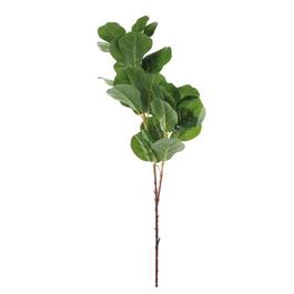 HASTE FICUS LYRATA X26 110 CM - VERDE