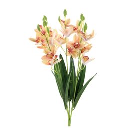 BUQUE ORQUIDEA CYMBIDIUM 3D X20 58 CM - CHAMPAGNE