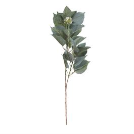 HASTE FOLHA DE HORTENSIA X15 110 CM - VERDE