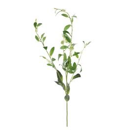 HASTE DE FOLHAGENS 100 CM - VERDE