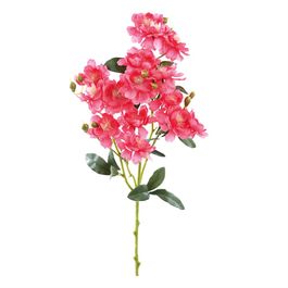 HASTE DE ROSA BANKSIAE X20 62 CM - ROSA