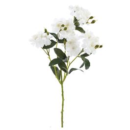 HASTE DE ROSA BANKSIAE X20 62 CM - BRANCO