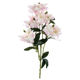 HASTE DE ROSA BANKSIAE X20 62 CM - ROSA CLARO