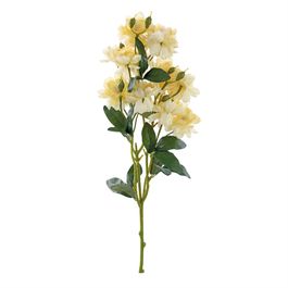 HASTE DE ROSA BANKSIAE X20 62 CM - AMARELO