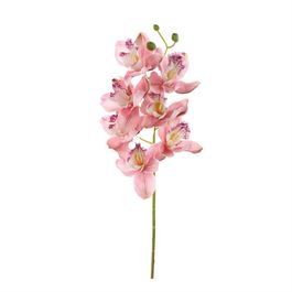 HASTE DE ORQUÍDEA CYMBIDIUM X7 72CM - ROSA CLARO