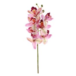 HASTE DE ORQUÍDEA CYMBIDIUM X7 72CM - ROSA