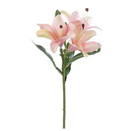 HASTE DE LÍRIO X3 45 CM - CHAMPAGNE