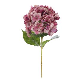 HASTE DE HORTÊNSIA X1 68 CM - ROSA