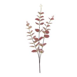 PICK DE EUCALIPTOS X3 60 CM - MARROM