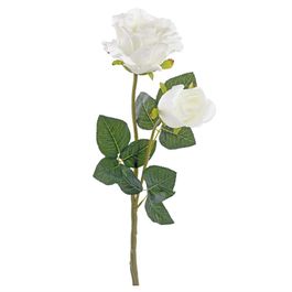 HASTE DE ROSA X2 65 CM - BRANCO