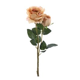 HASTE DE ROSA X2 65 CM - SALMÃO