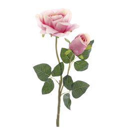 HASTE DE ROSA X2 65 CM - ROSA