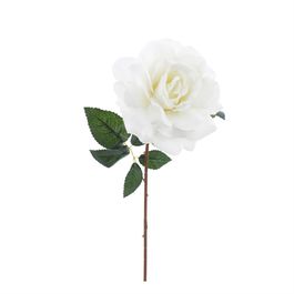 HASTE DE ROSA X1 51 CM - BRANCO