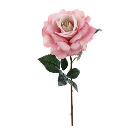 HASTE DE ROSA X1 51 CM - ROSA CLARO