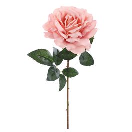 HASTE DE ROSA X1 51 CM - SALMÃO