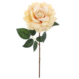 HASTE DE ROSA X1 51 CM - BEGE