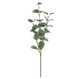 PICK DE EUCALIPTOS X3 61 CM - VERDE