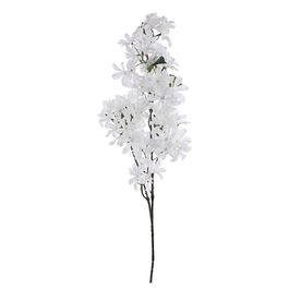 HASTE DE JASMIN X65 85 CM - BRANCO