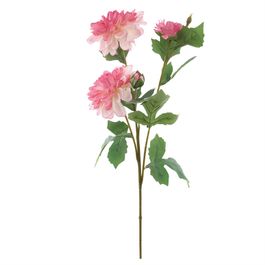 HASTE DE DÁLIA X4 66 CM - ROSA