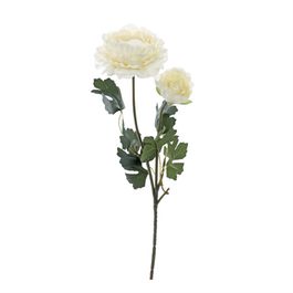 HASTE DE RANUNCÚLO X2 50 CM - CREME