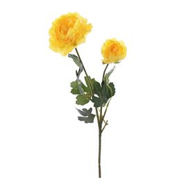 HASTE DE RANUNCÚLO X2 50 CM - AMARELO