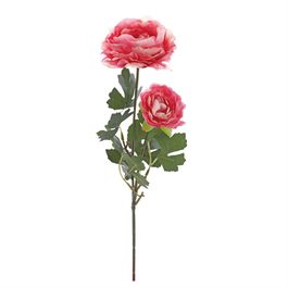 HASTE DE RANUNCÚLO X2 50 CM - ROSA