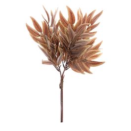 PICK DE EUCALIPTO SALIGNA  X3 41 CM - MARROM