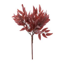 PICK DE EUCALIPTO SALIGNA  X3 41 CM - MARROM