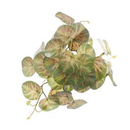 PENDENTE DE CALADIUM X36 18 CM - VERDE