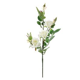 HASTE DE ROSAS X5 70 CM - BRANCO