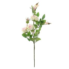 HASTE DE ROSAS X5 70 CM - BRANCO / ROSA