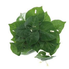 PENDENTE COM FOLHAS DE PHILO X22 27 CM - VERDE