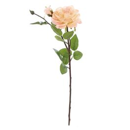 HASTE COM ROSAS X2 62 CM - CHAMPAGNE