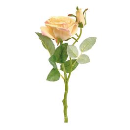 HASTE COM ROSAS X2 37 CM - CHAMPAGNE