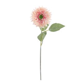 HASTE DE GÉRBERA X1 52 CM - ROSA