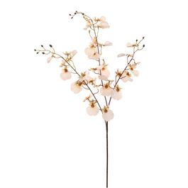 HASTE DE ORQUÍDEAS X32 83 CM - CHAMPAGNE