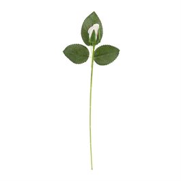 HASTE DE ROSA X1 - BRANCO