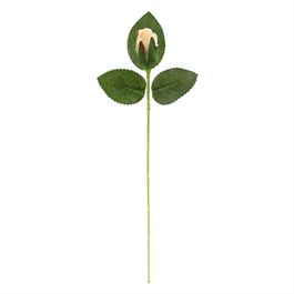 HASTE DE ROSA X1 - CHAMPAGNE