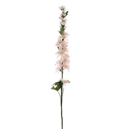 HASTE DE DELPHINIUM X30 133 CM - ROSA